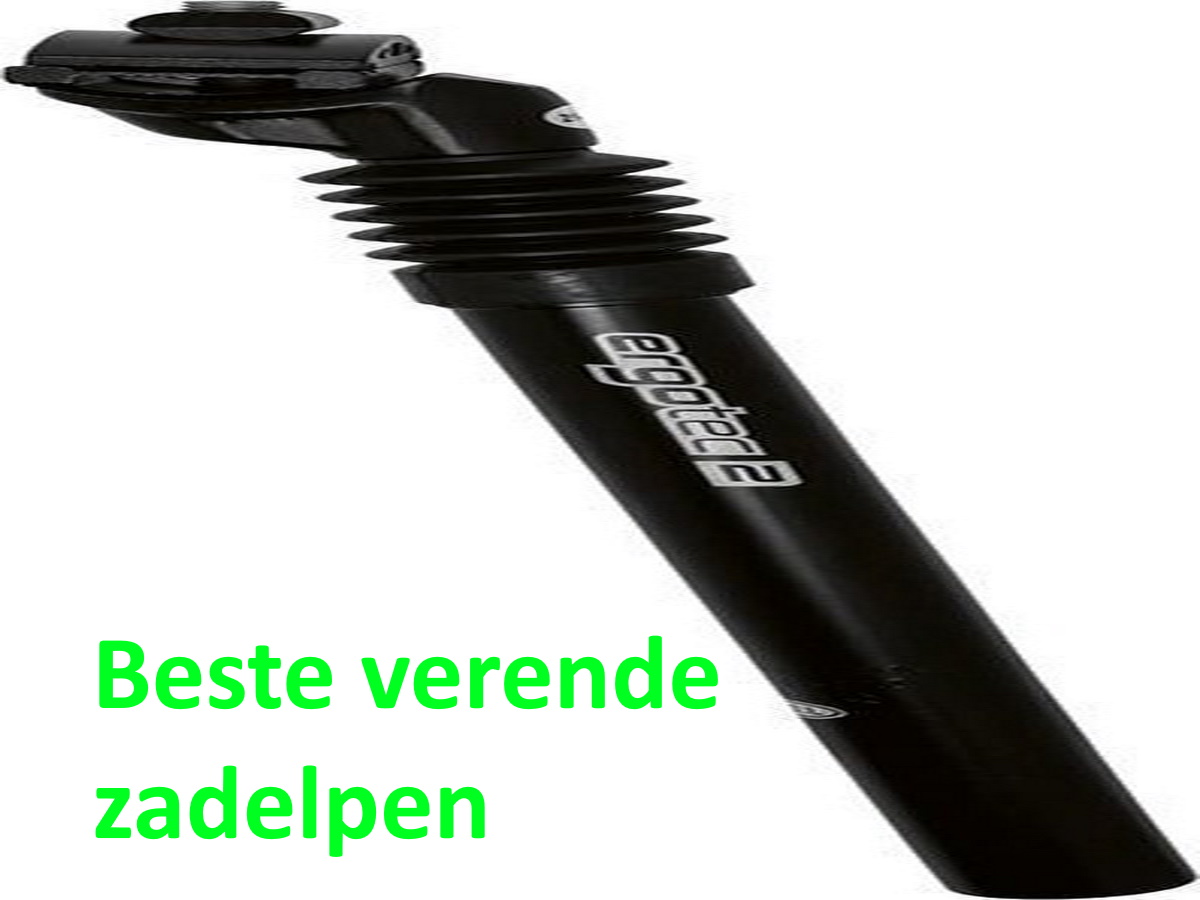 Beste verende zadelpen